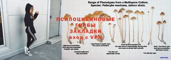 экстази Елабуга