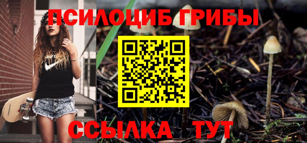 наркошоп  Вход с VPN  Псилоцибиновые грибы ЛСД  Саянск  Псилоцибиновые грибы Magic Shrooms 