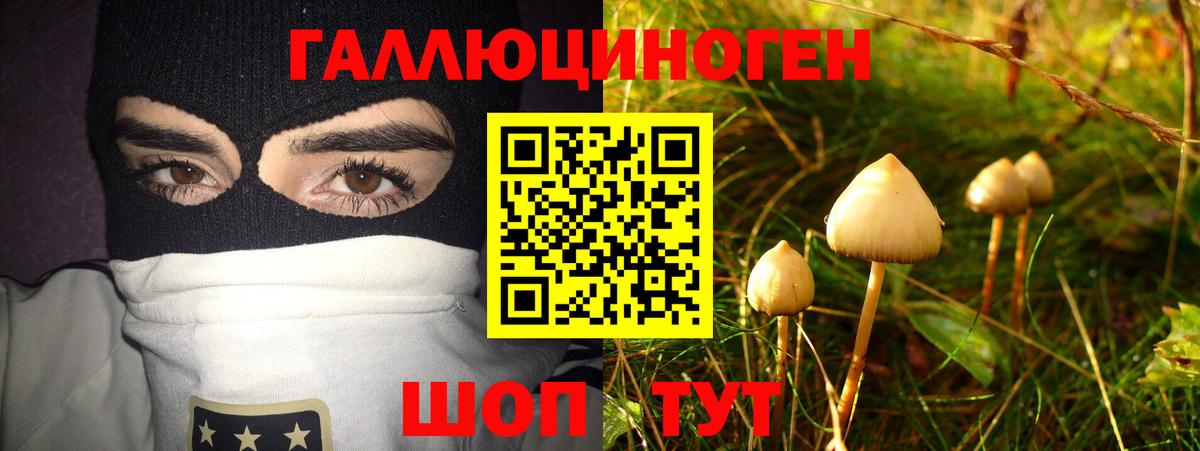 Псилоцибиновые грибы GOLDEN TEACHER Саянск